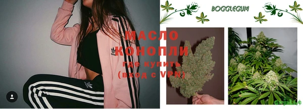 индика Аркадак