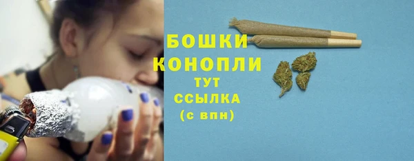 амф Ладушкин