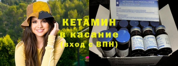 индика Аркадак