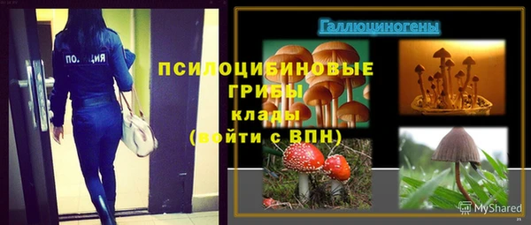индика Аркадак