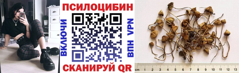 Галлюциногенные грибы ЛСД  Агидель 